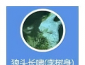 请华为公司尽早用官方事实真相辟谣